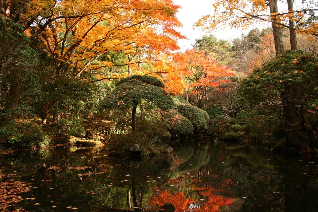 Senkyoro Hotel Hakone Ngoại thất bức ảnh