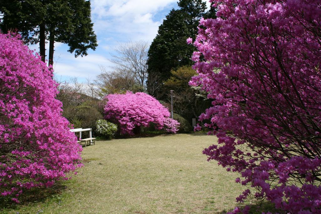 Senkyoro Hotel Hakone Ngoại thất bức ảnh