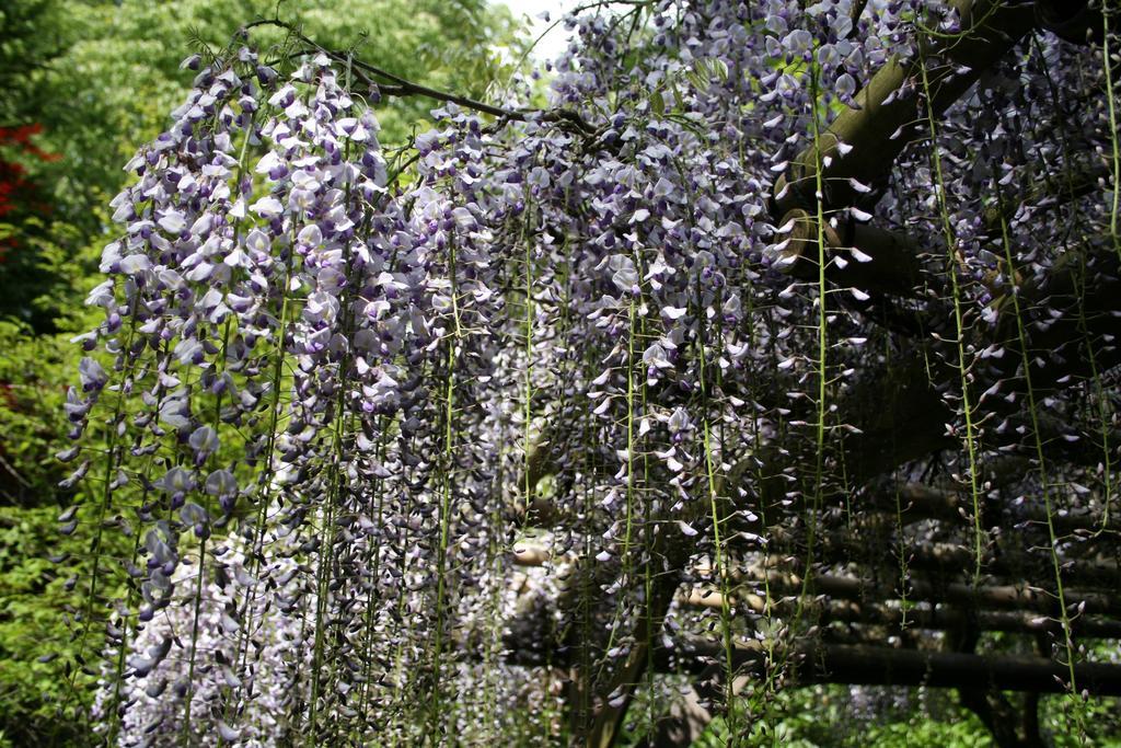 Senkyoro Hotel Hakone Ngoại thất bức ảnh