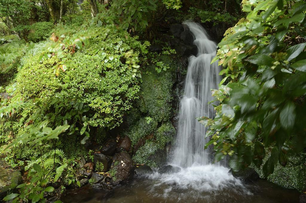 Senkyoro Hotel Hakone Ngoại thất bức ảnh