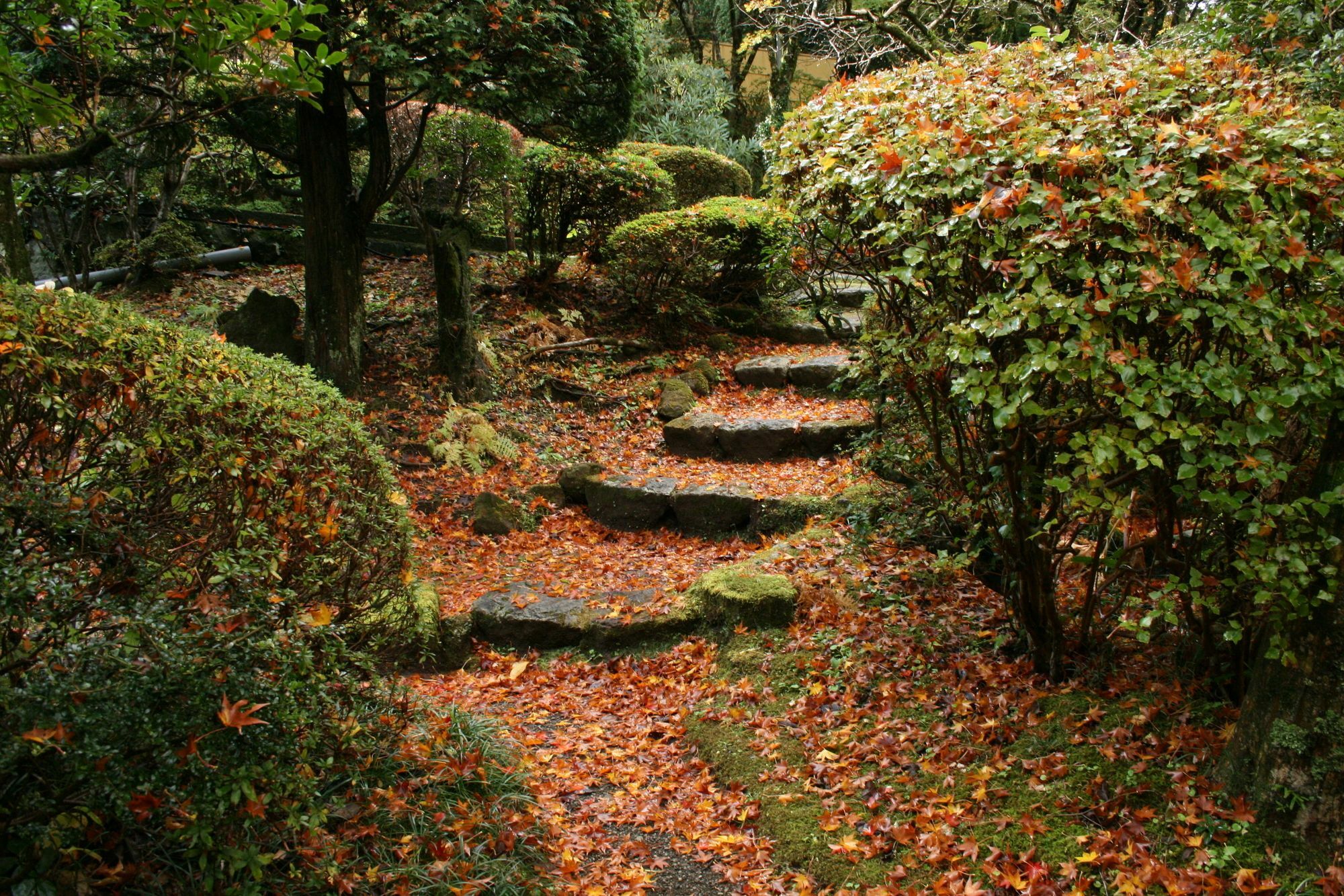 Senkyoro Hotel Hakone Ngoại thất bức ảnh