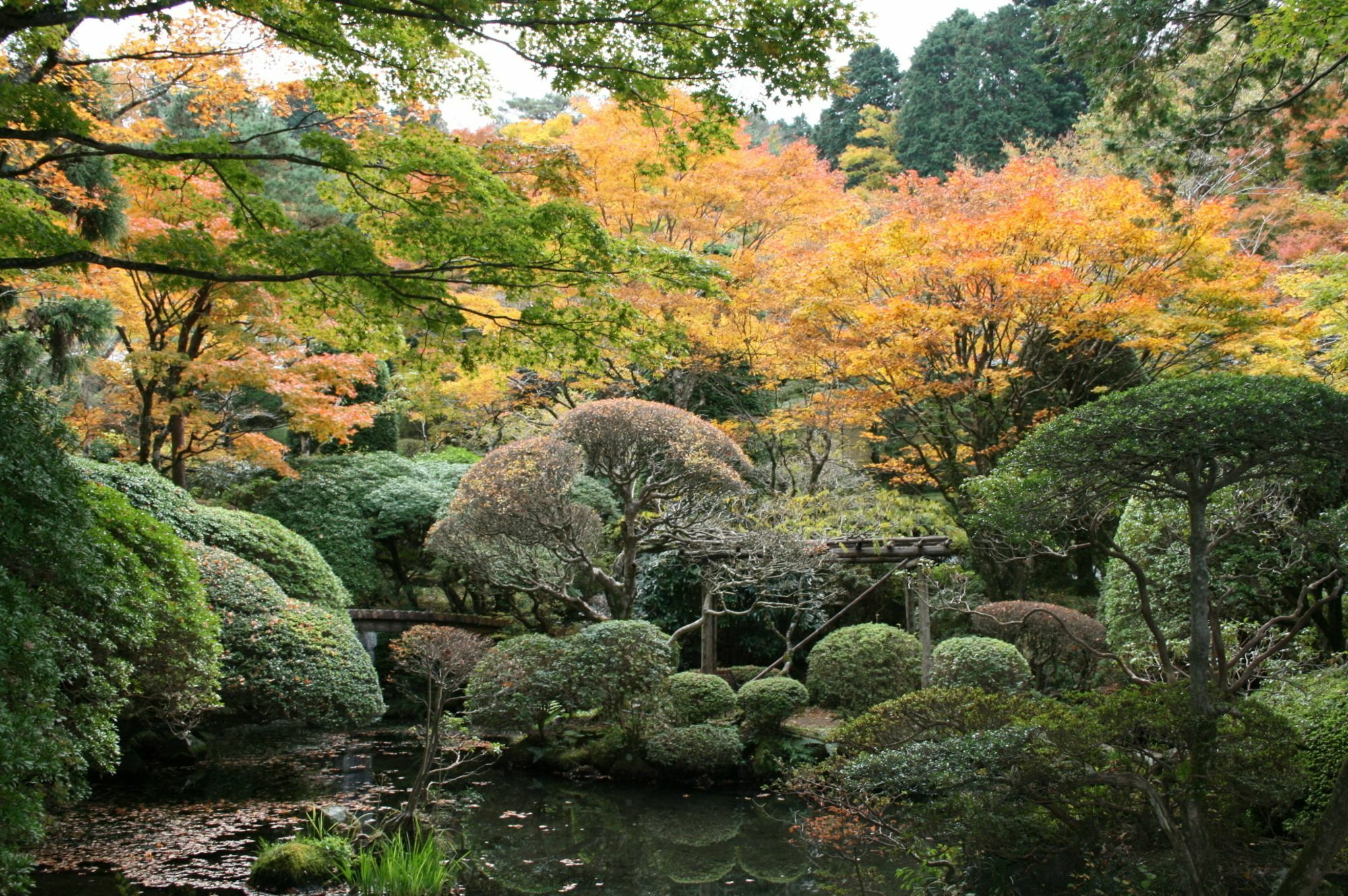 Senkyoro Hotel Hakone Ngoại thất bức ảnh