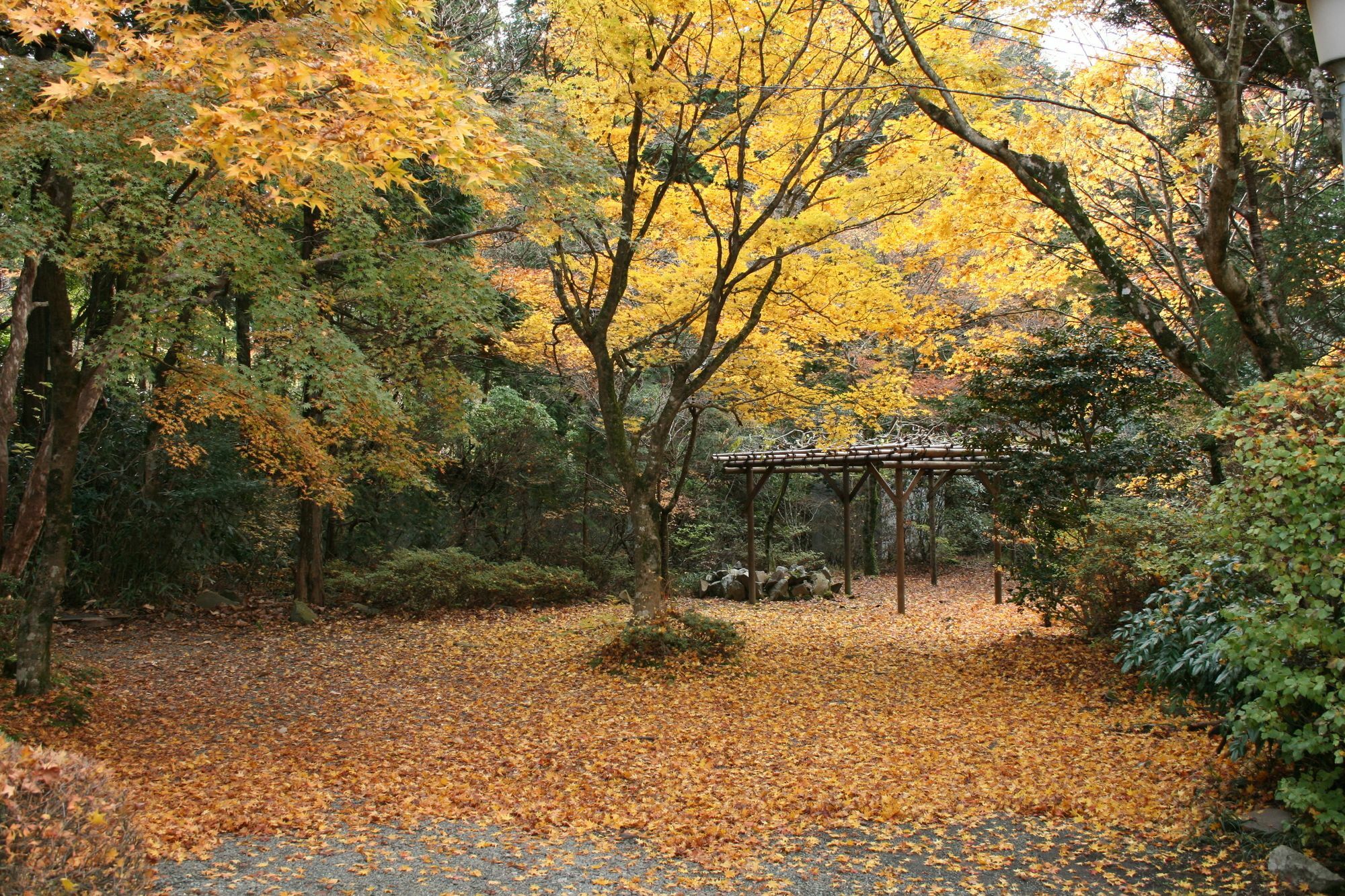 Senkyoro Hotel Hakone Ngoại thất bức ảnh