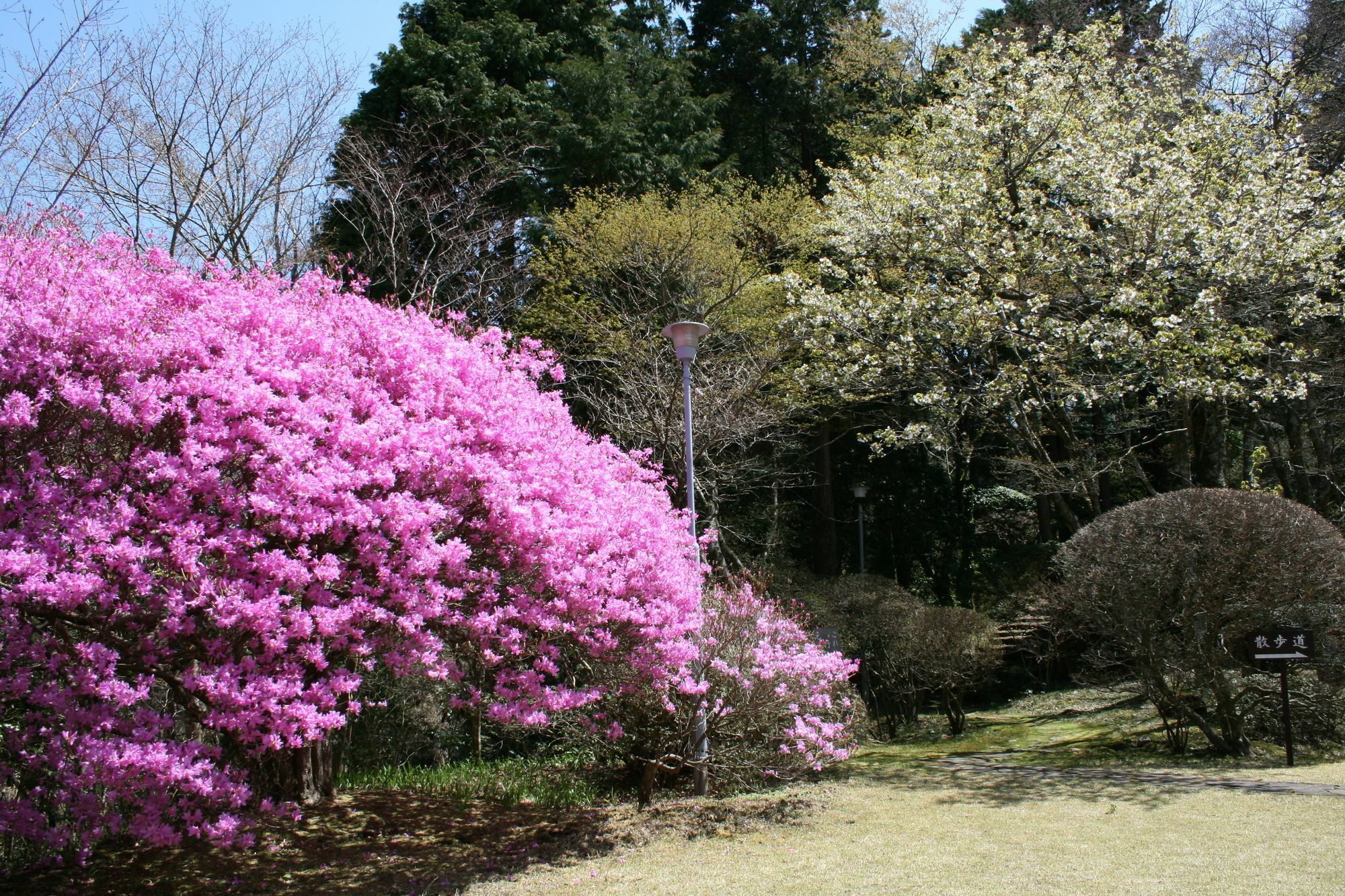 Senkyoro Hotel Hakone Ngoại thất bức ảnh